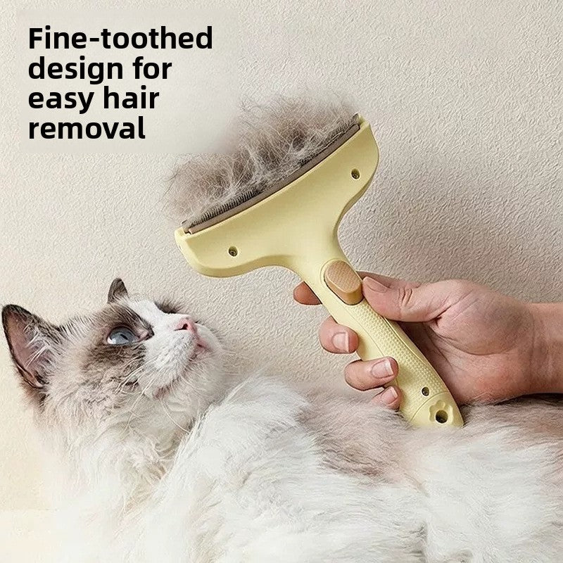 CARELYBOX Detangling & Thinning Comb
