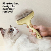 CARELYBOX Detangling & Thinning Comb