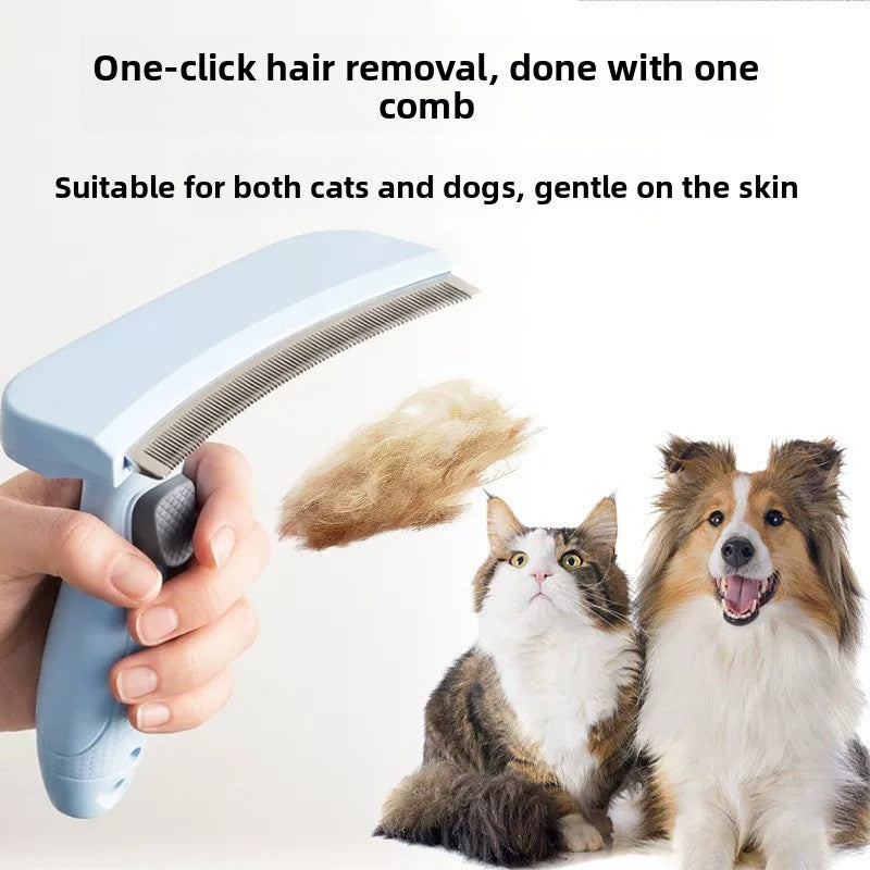 CARELYBOX Detangling & Thinning Comb